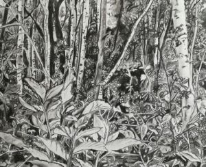 Voir le détail de cette oeuvre: paysage forêt